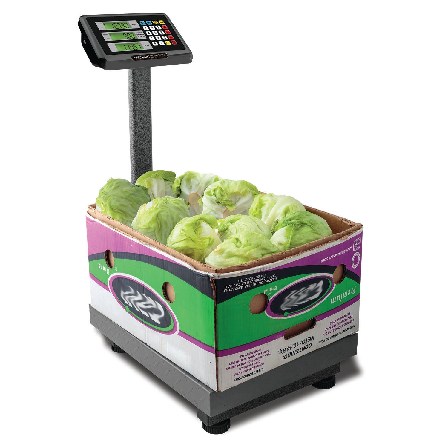 Báscula de Plataforma BAPCA-200