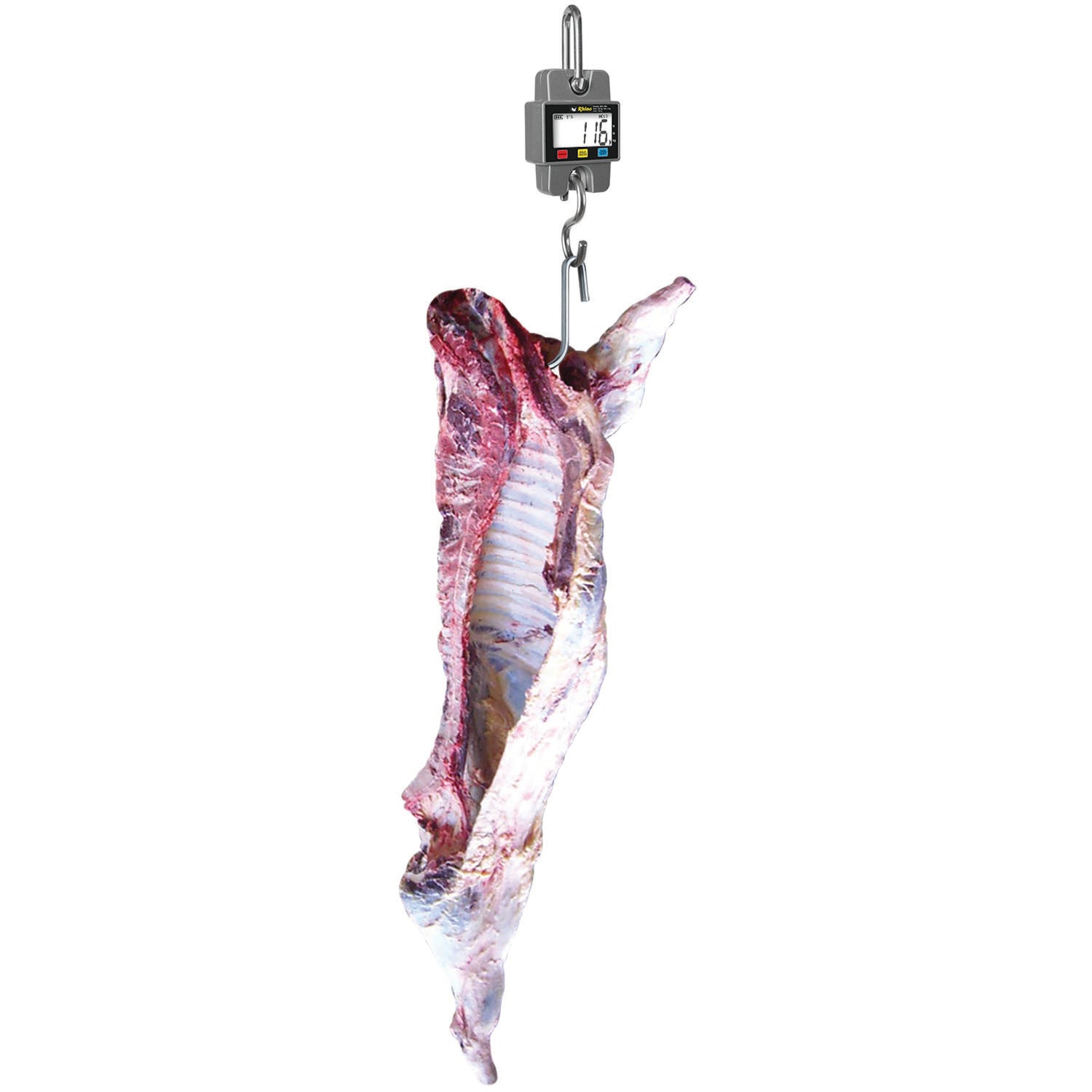 Báscula Colgante BAC-300