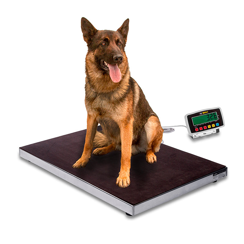 Báscula de Plataforma BAVET-200 incluye identificador